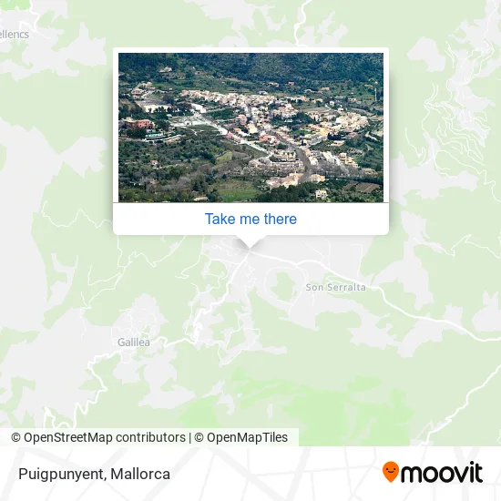 Puigpunyent map