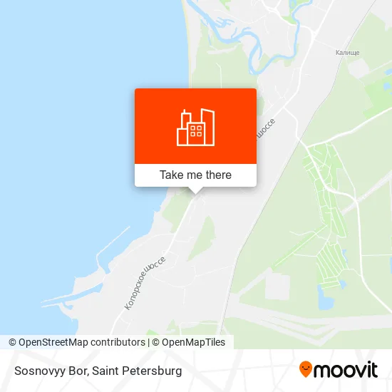 Sosnovyy Bor map