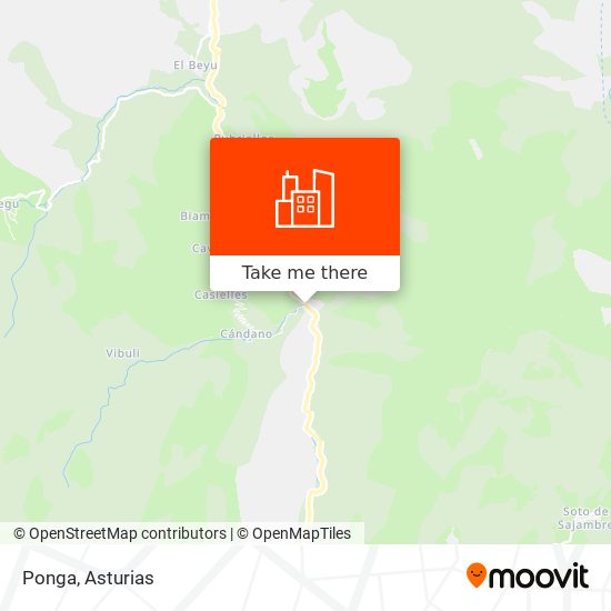 Ponga map