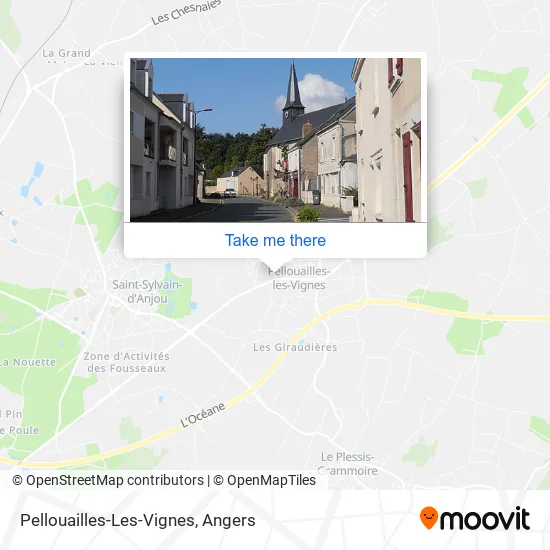 Pellouailles-Les-Vignes map