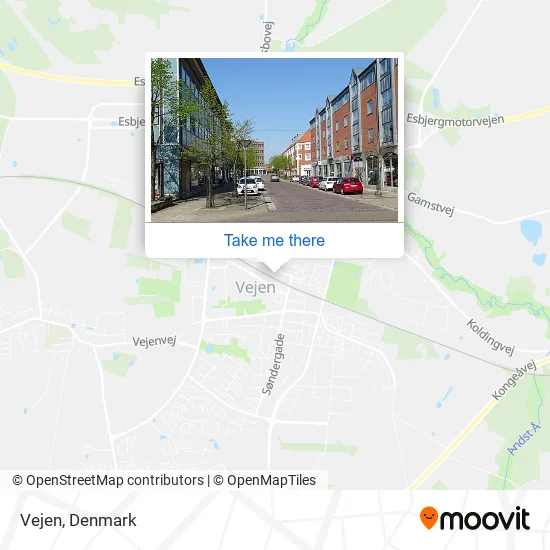 Vejen map