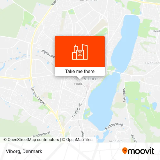 Viborg map
