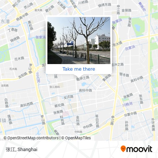 张江 map