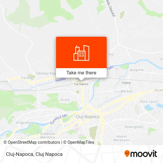Cluj-Napoca map