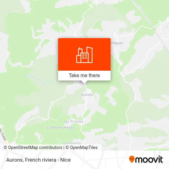 Aurons map