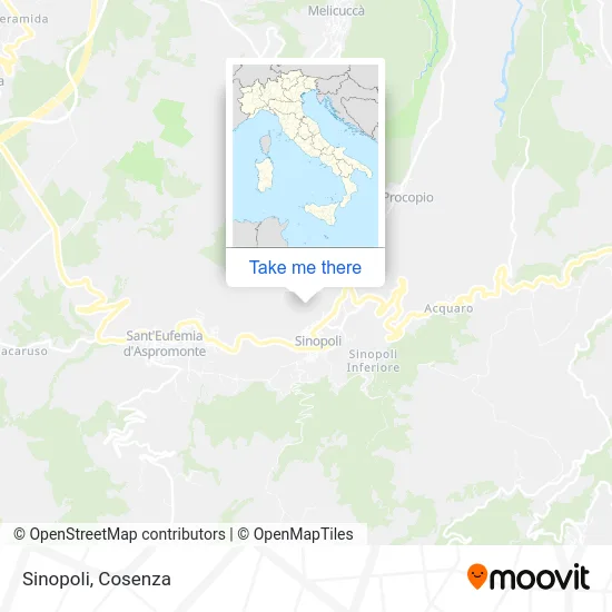 Sinopoli map
