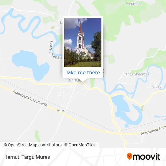 Iernut map