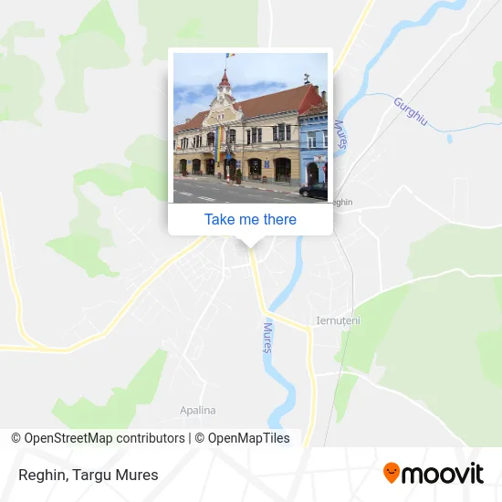Reghin map