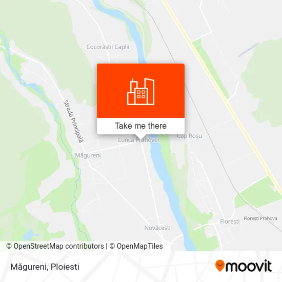 Măgureni map