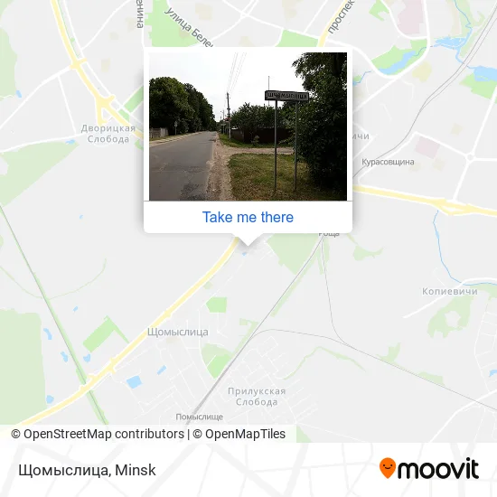 Щомыслица map