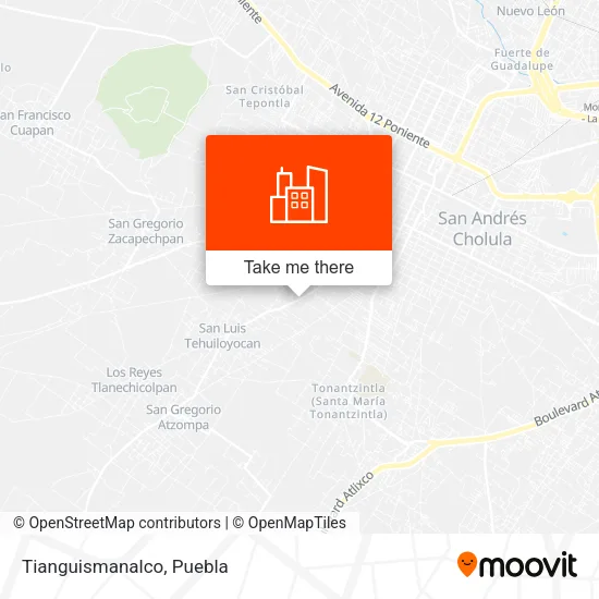 Tianguismanalco map