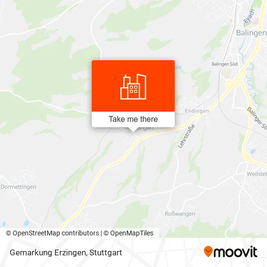 Карта Gemarkung Erzingen