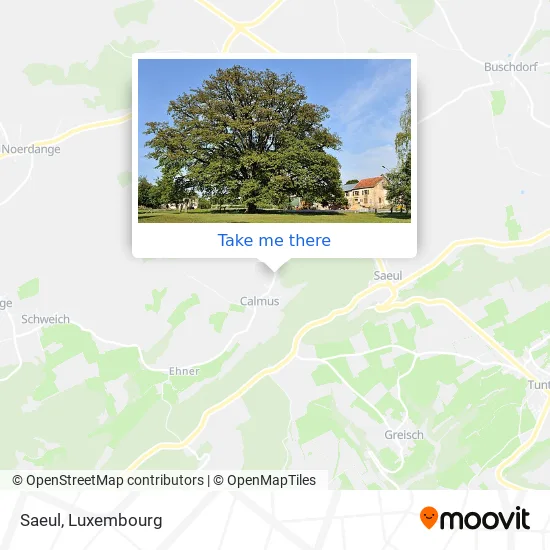Saeul map