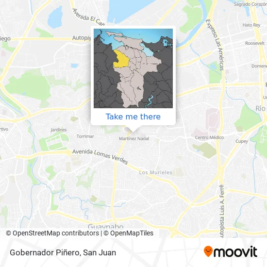 Gobernador Piñero map