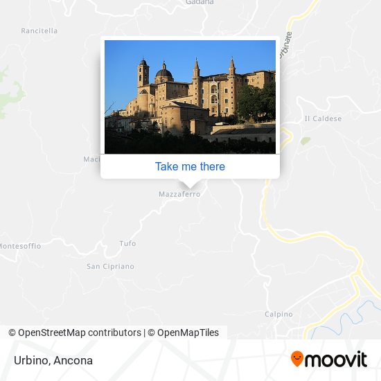 Urbino map