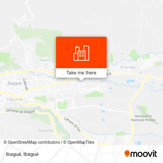 Ibagué map