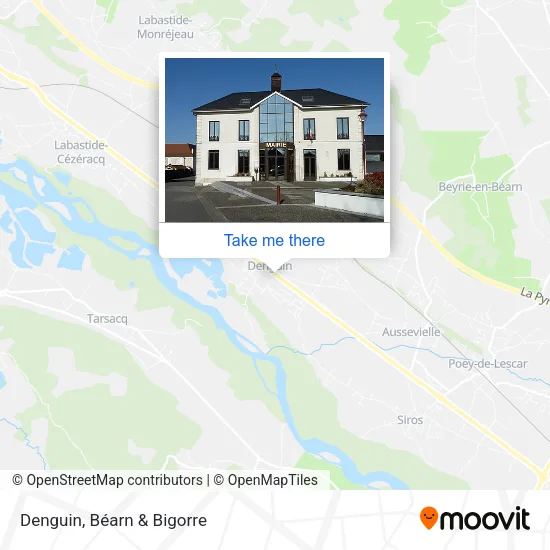 Denguin map