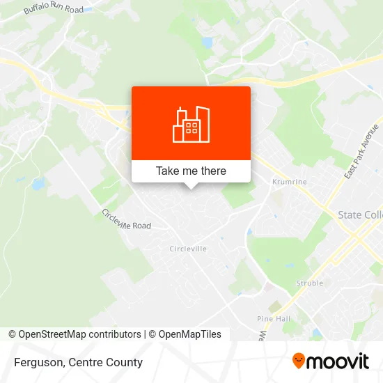 Ferguson map