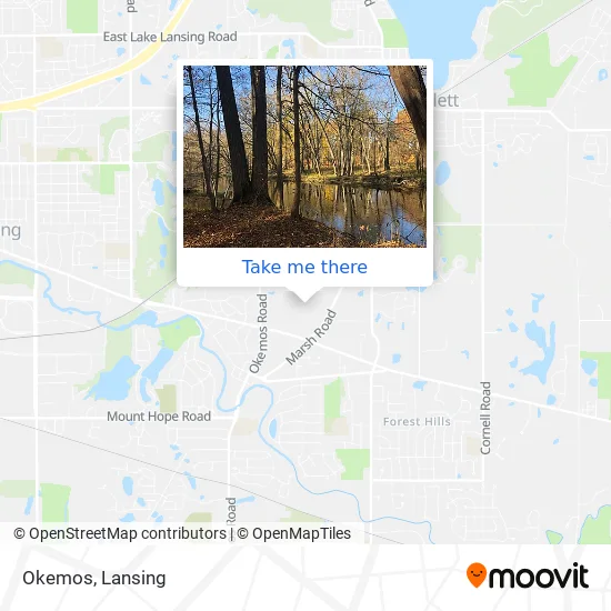 Okemos map