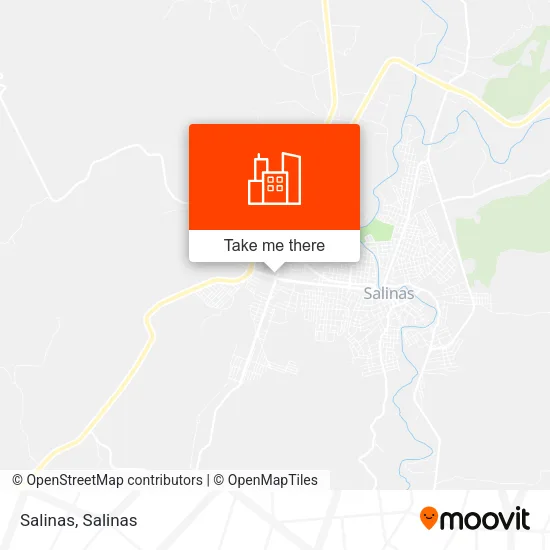 Salinas map