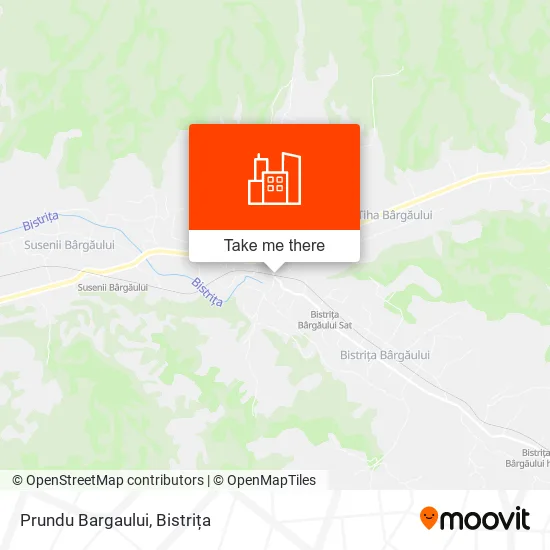 Prundu Bargaului map