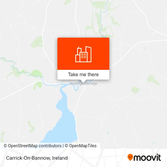 Carrick-On-Bannow map