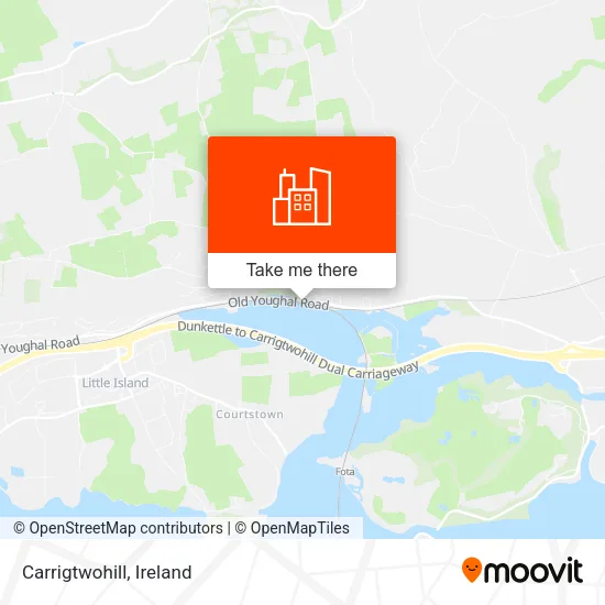 Carrigtwohill map