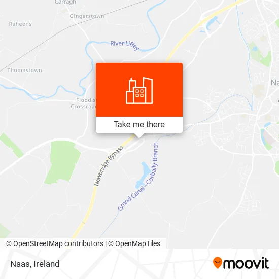 Naas map
