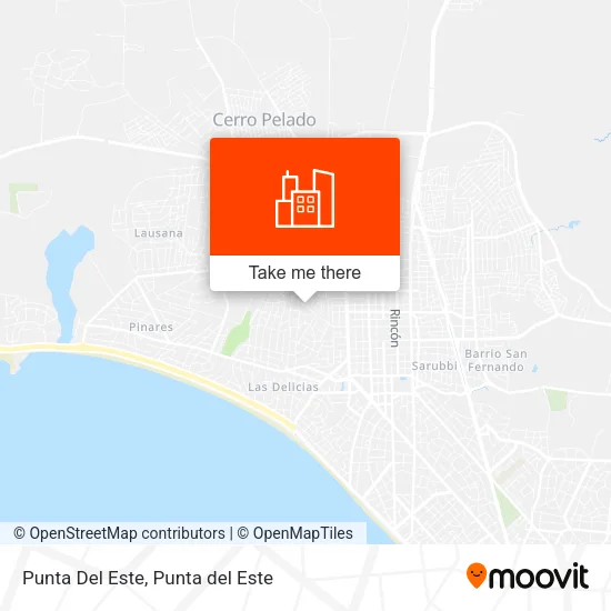 Punta Del Este map
