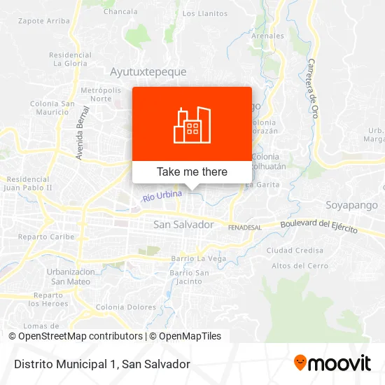 Distrito Municipal 1 map