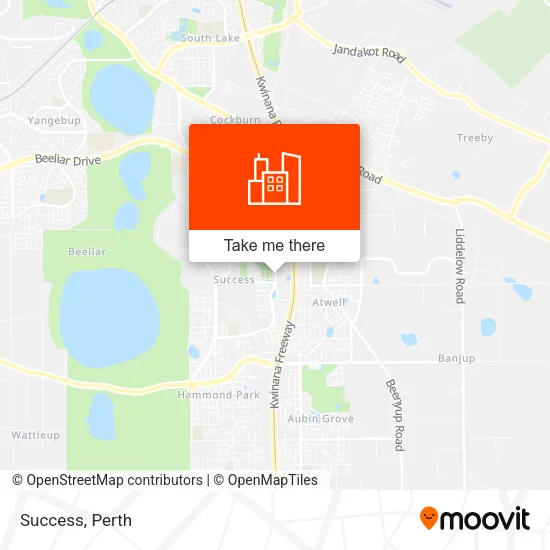 Success map