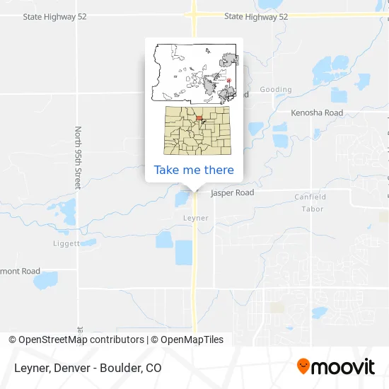 Leyner map
