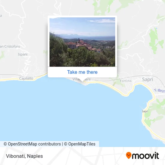 Vibonati map