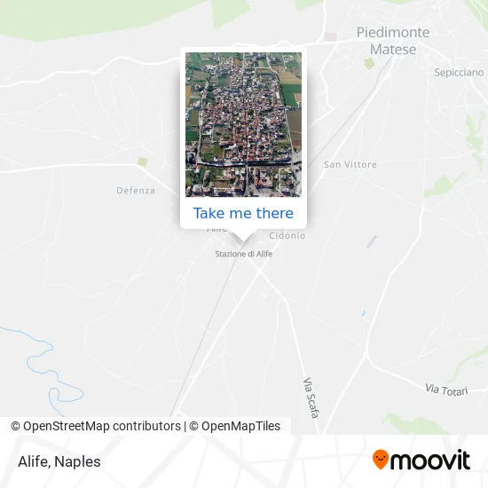 Alife map