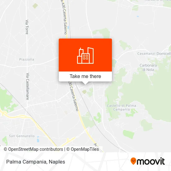 Palma Campania map