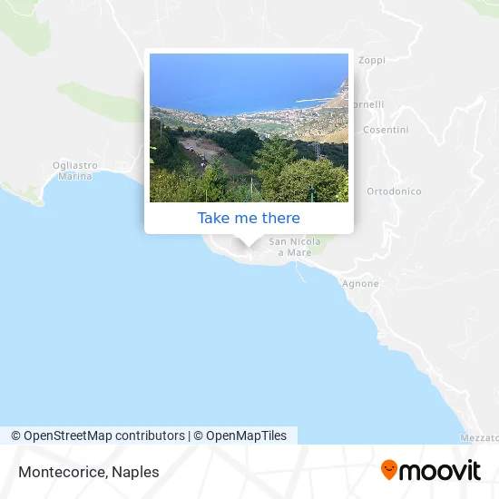 Montecorice map