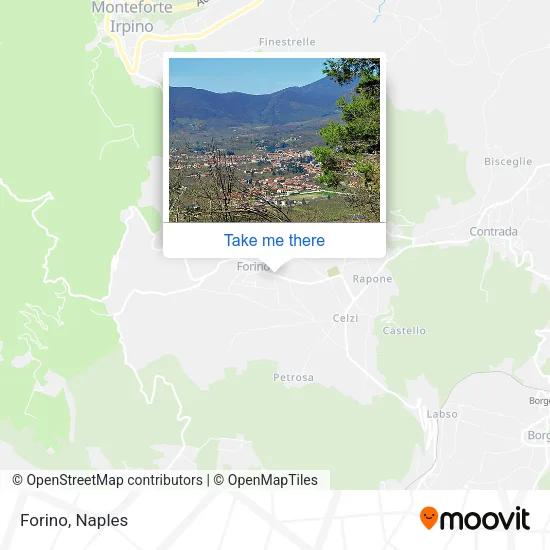 Forino map