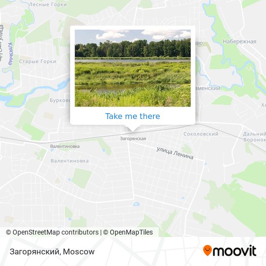 Загорянский map