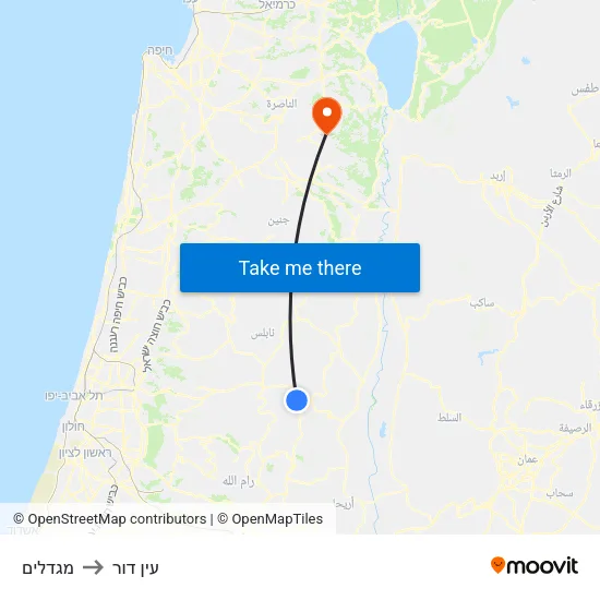 מגדלים to עין דור map