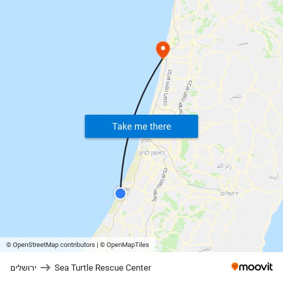 ירושלים to Sea Turtle Rescue Center map