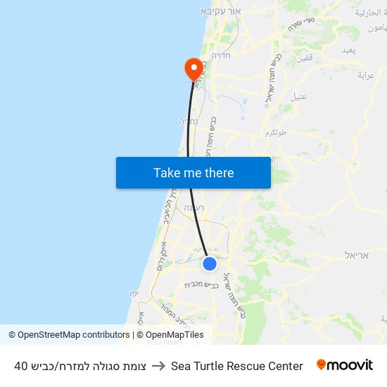צומת סגולה למזרח/כביש 40 to Sea Turtle Rescue Center map