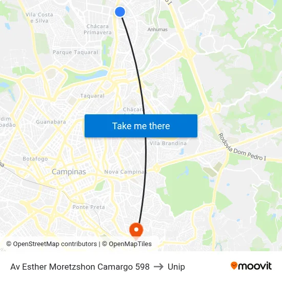 Av Esther Moretzshon Camargo 598 to Unip map