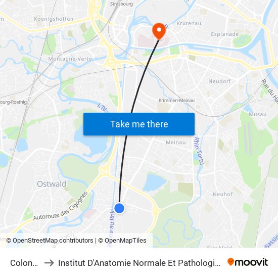 Colonne to Institut D'Anatomie Normale Et Pathologique map