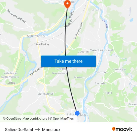 Salies-Du-Salat to Mancioux map