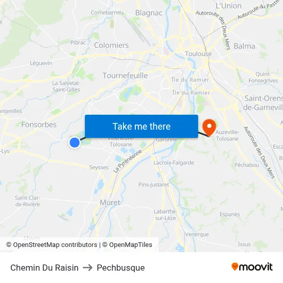 Chemin Du Raisin to Pechbusque map