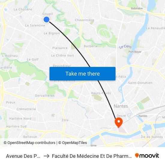 Avenue Des Pins to Faculté De Médecine Et De Pharmacie map