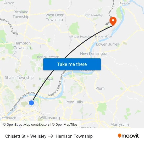 Chislett St + Wellsley to Harrison Township map