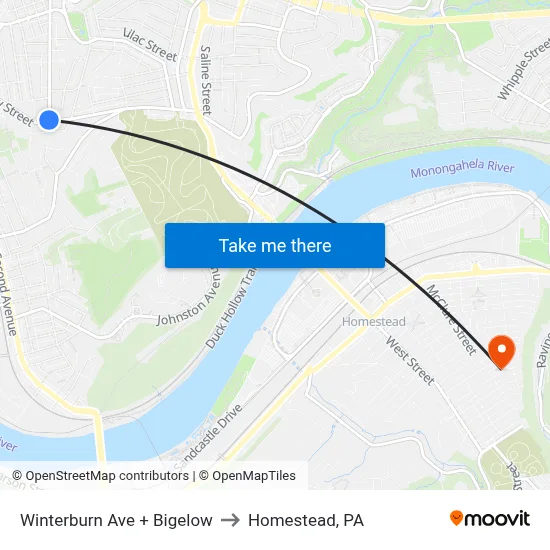 Winterburn Ave + Bigelow to Homestead, PA map