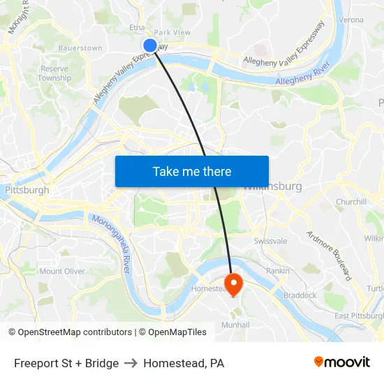 Freeport St + Bridge to Homestead, PA map