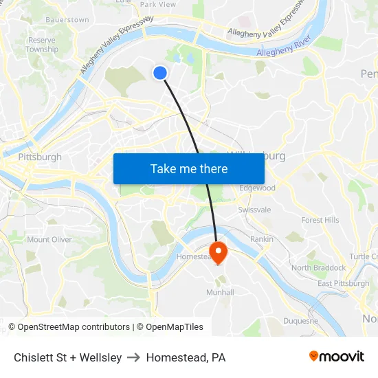 Chislett St + Wellsley to Homestead, PA map